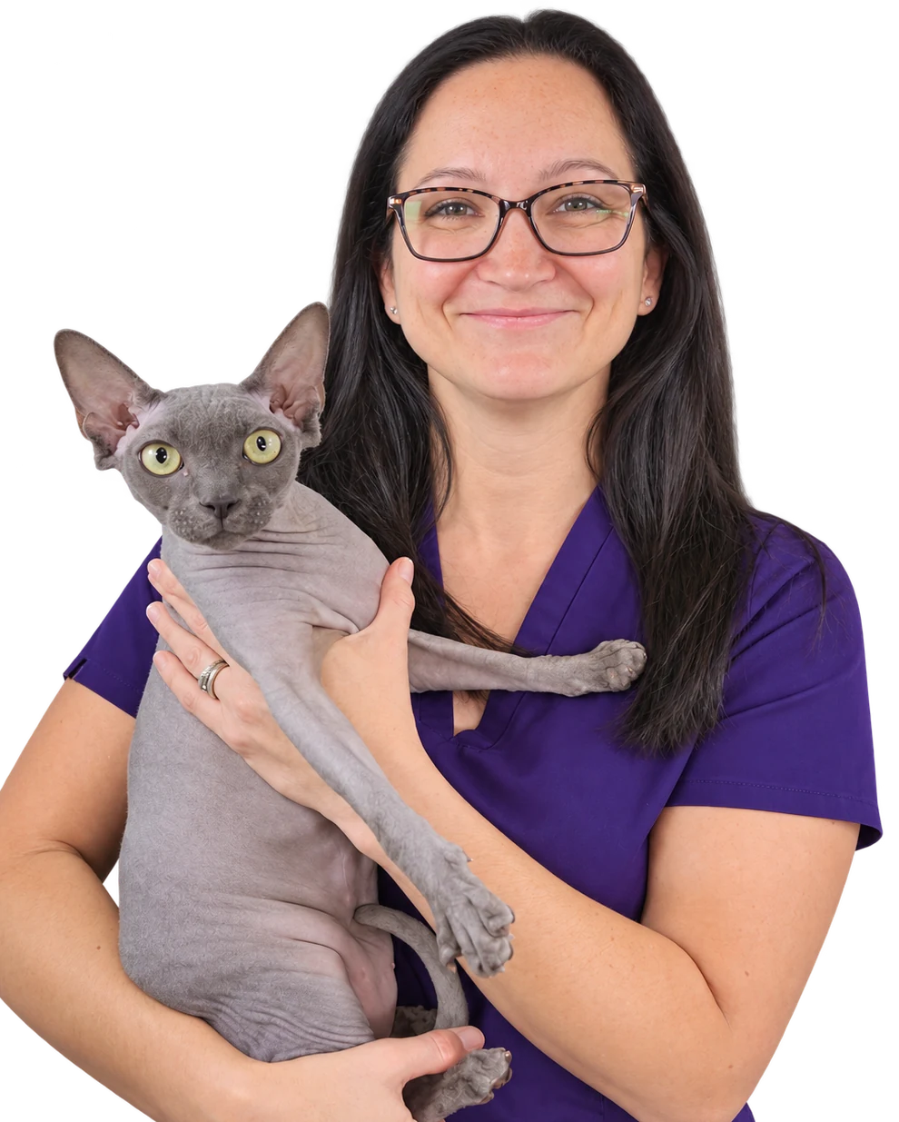 Brittany Cacciottoli, DVM, DABVP (Feline)